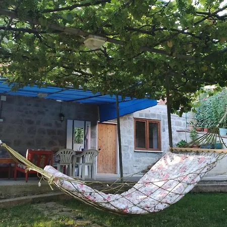 Village House Villa *